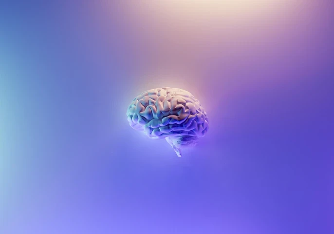 data driven insights