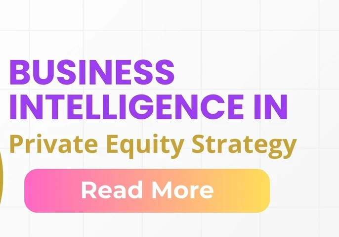 Business Intelligence in Private Equity