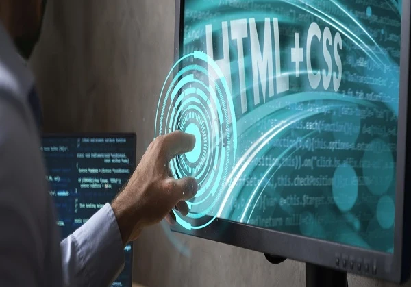 web development services