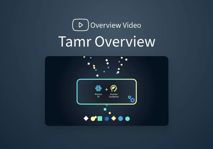 tamr overview video