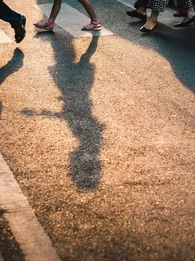 Shadows of people walking across a crosswalk.