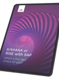 rise with SAP