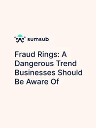 sumsub fraud rings