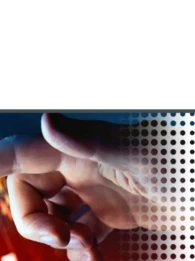 radware web ddos 