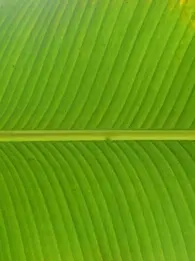 The importance of green IT