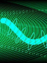 what is a computer worm