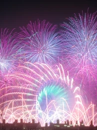 Fireworks, Family, and the Framework for Data Governance