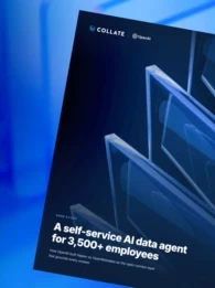 open ai case study