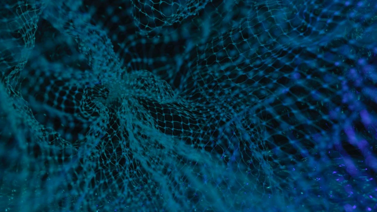 Homomorphic encryption
