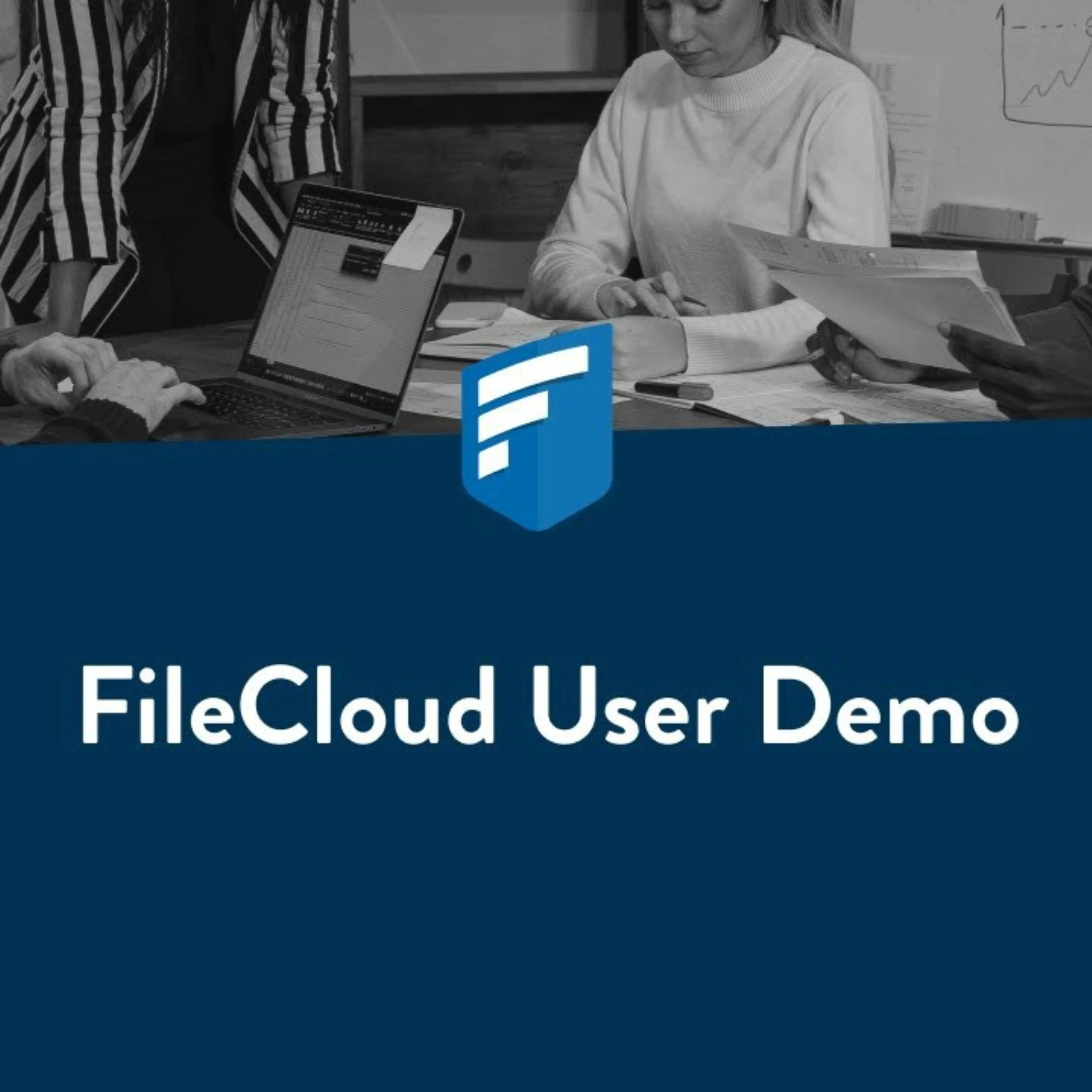 filecloud user demo