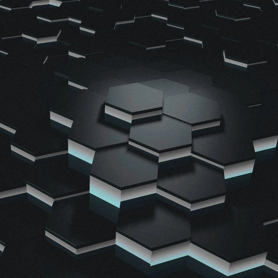 voice of the chief data officer