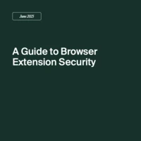 browser extension security