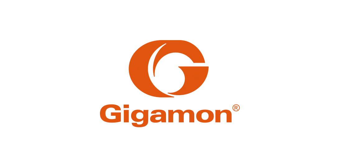 Gigamon 