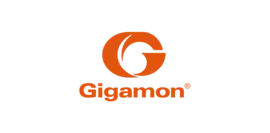 Gigamon 